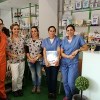 anivet santarem
